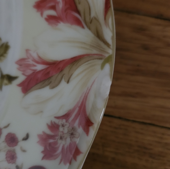 *222 Fifth Summer Botanical Lutece Fleur Rouge Dinner Plates Set of 4 - Picture 3 of 3